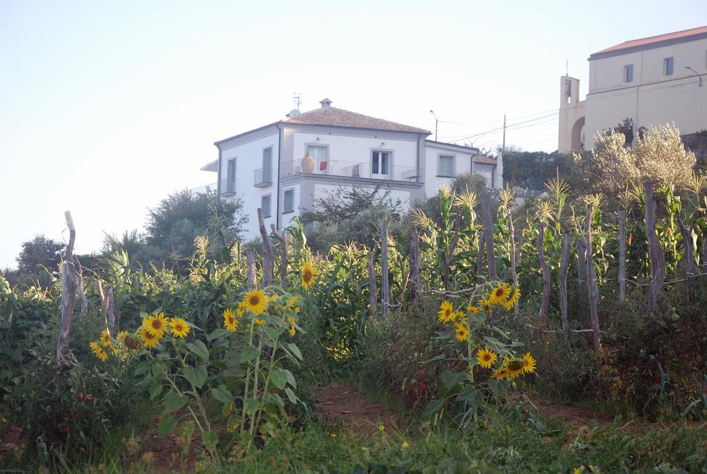 Villa Cirimarco Bonifati Esterno foto
